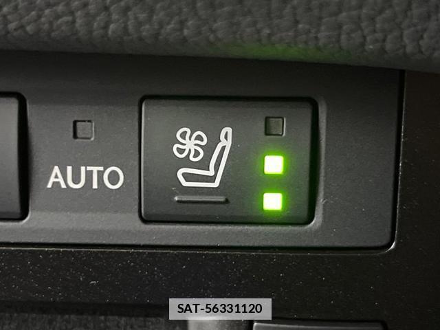 Lexus ES 2019-06 7815212-7