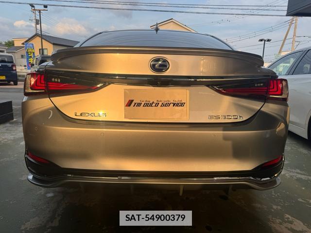 Lexus ES 2021-11 7816799-19