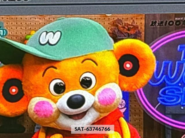 Suzuki HUSTLER 2019-03 7821896-11