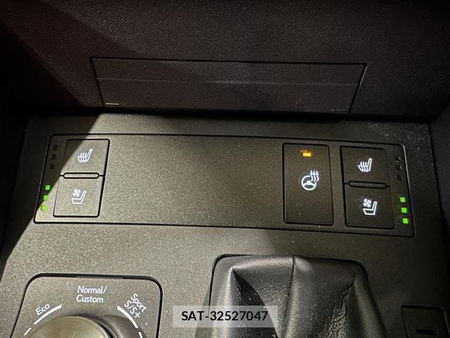 Lexus IS 2021-02 7814124-12