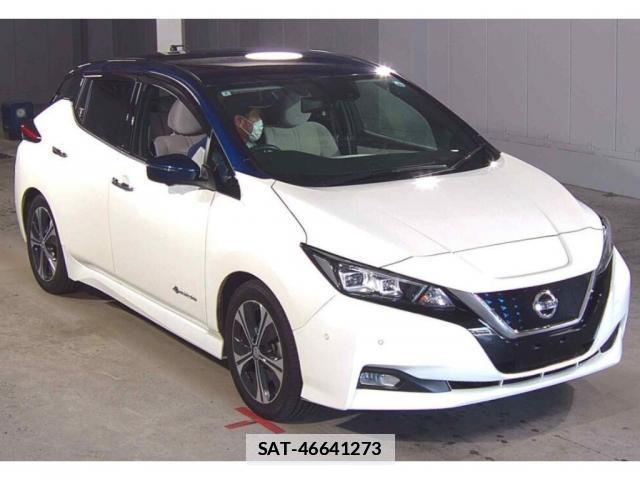 Nissan LEAF 2018-02 7816551-0
