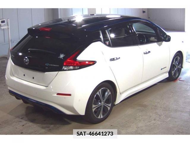 Nissan LEAF 2018-02 7816551-4
