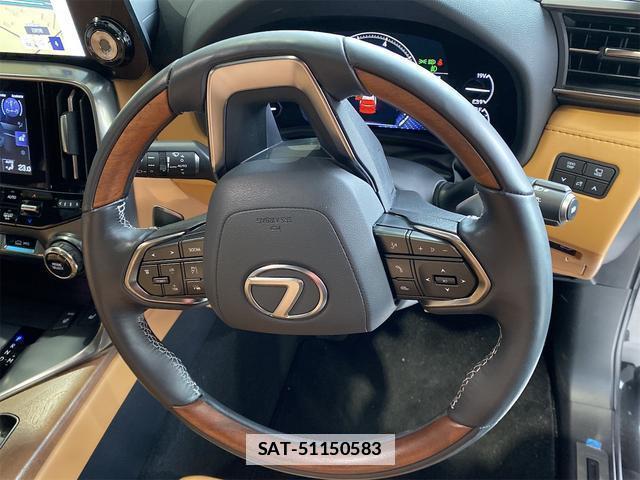 Lexus LX 2024-08 7818707-15