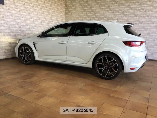 Renault MEGANE 2019-05 7817831-6