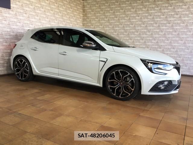 Renault MEGANE 2019-05 7817831-7