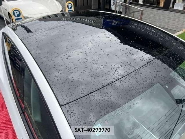 Tesla MODEL 3 2021-03 7820731-16