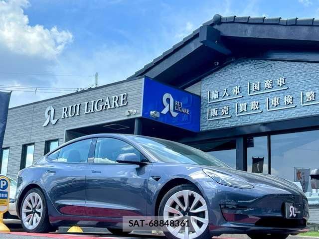 Tesla MODEL 3 2021-06 7820732-6