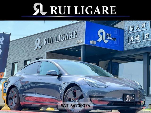 Tesla MODEL 3 2022-03 7820736-0