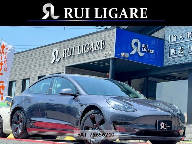 Tesla MODEL 3 2021-12 7820742-0