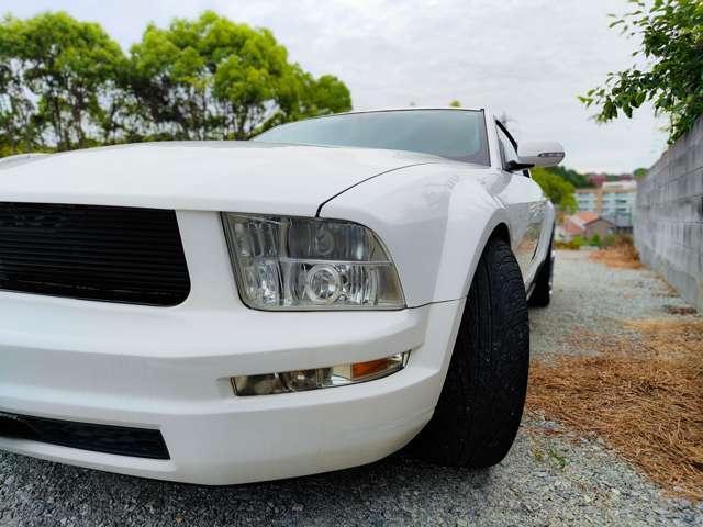 Ford MUSTANG 2007-03 7816734-17
