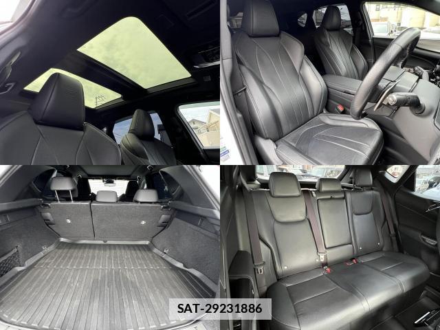 Lexus NX 2023-07 7811916-7