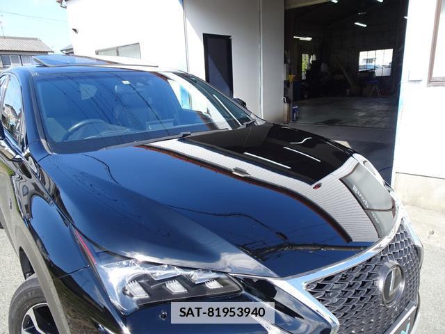 Lexus NX 2014-10 7812068-9