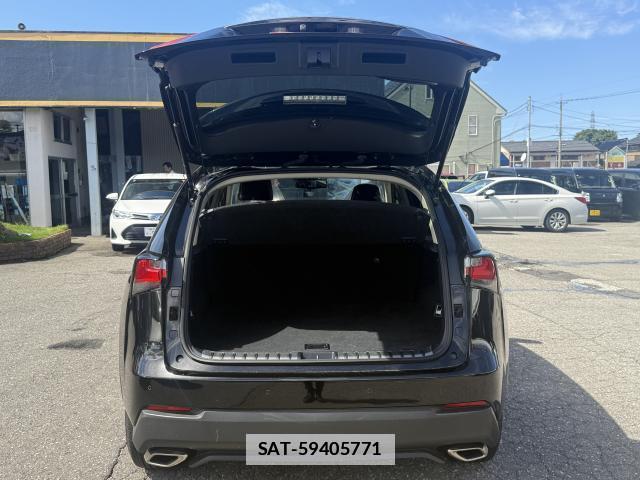 Lexus NX 2014-08 7812456-16