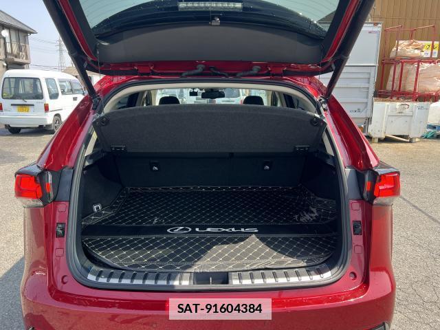 Lexus NX 2018-12 7812842-19
