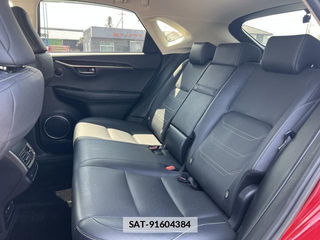 Lexus NX 2018-12 7812842-6