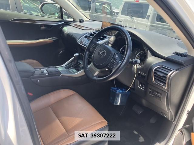 Lexus NX 2021-05 7813464-10