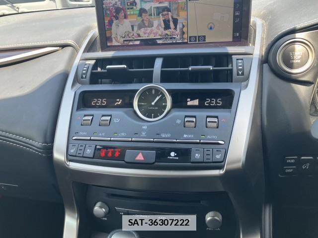 Lexus NX 2021-05 7813464-11