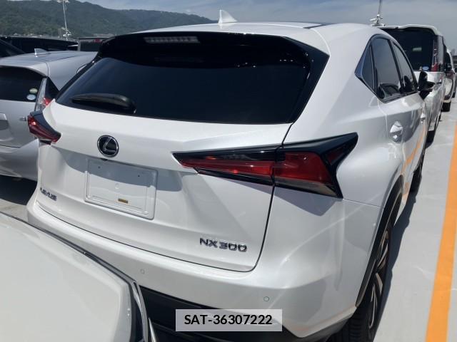 Lexus NX 2021-05 7813464-2