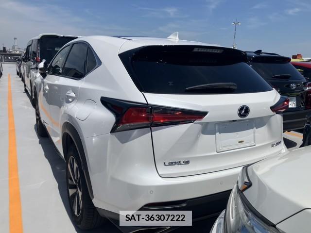 Lexus NX 2021-05 7813464-4