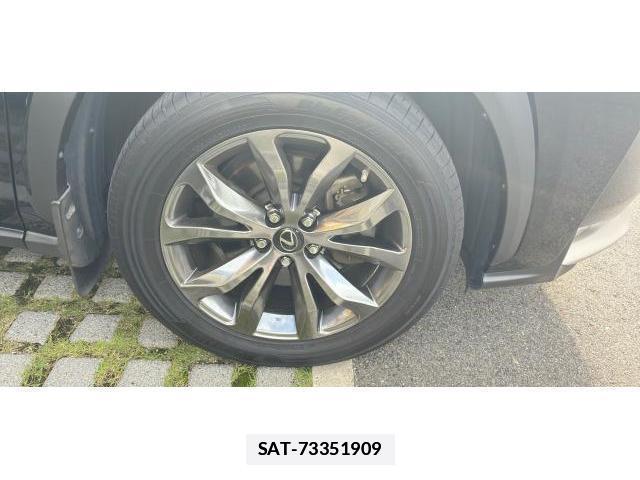 Lexus NX 2015-03 7813661-13