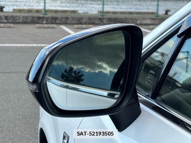Lexus NX 2015-10 7813688-10