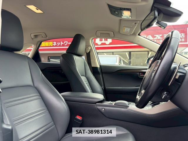 Lexus NX 2019-12 7813913-11