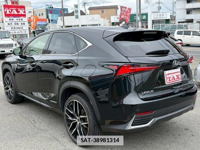 Lexus NX 2019-12 7813913-13