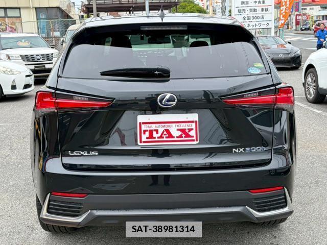 Lexus NX 2019-12 7813913-7