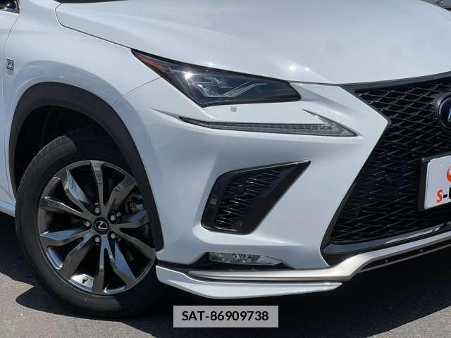 Lexus NX 2020-12 7815558-12
