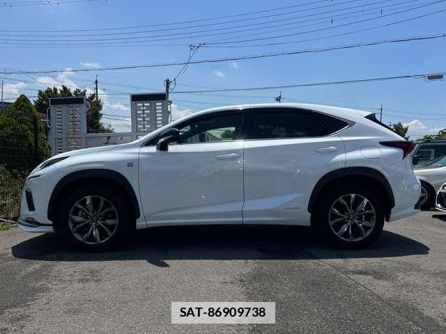 Lexus NX 2020-12 7815558-19
