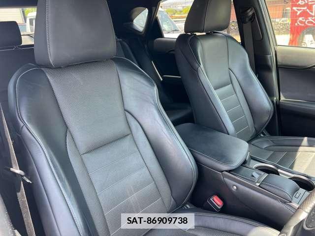 Lexus NX 2020-12 7815558-4