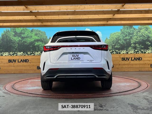 Lexus NX 2022-01 7816274-14