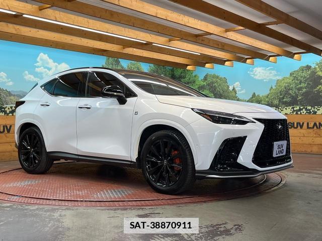 Lexus NX 2022-01 7816274-15