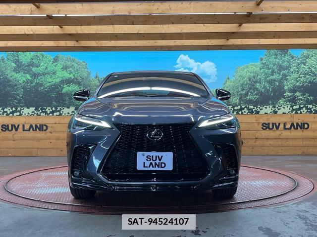 Lexus NX 2023-03 7816290-13