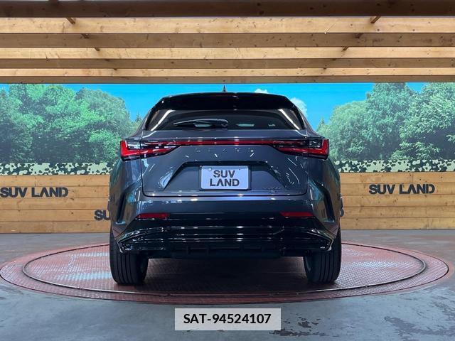 Lexus NX 2023-03 7816290-14