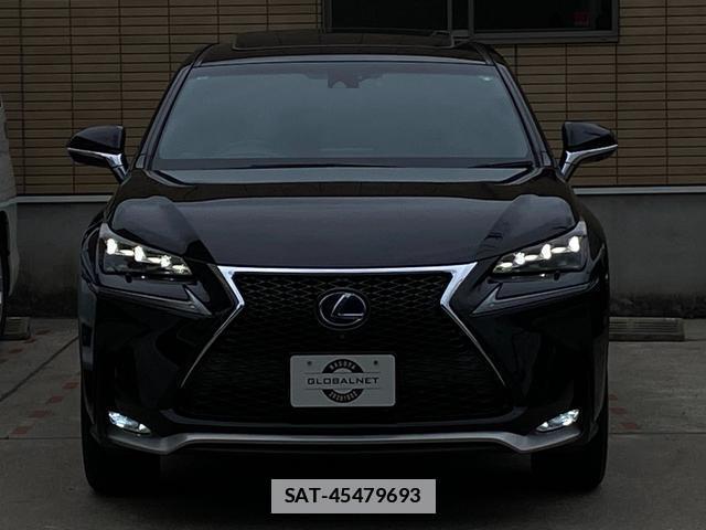 Lexus NX 2015-06 7816513-18
