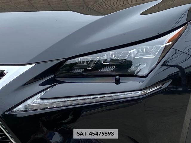 Lexus NX 2015-06 7816513-4