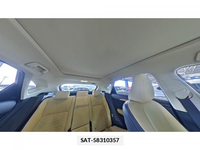 Lexus NX 2015-08 7816573-3