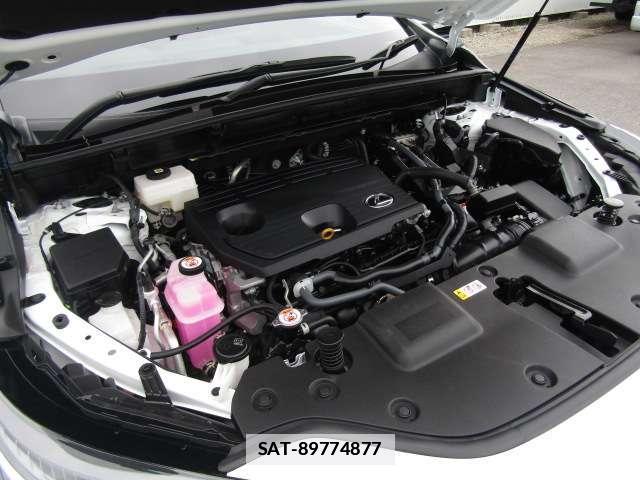 Lexus NX 2024-05 7819577-17