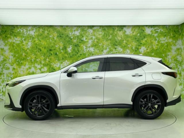 Lexus NX 2023-10 7822516-1