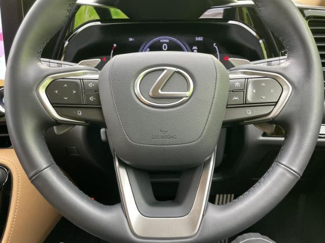 Lexus NX 2023-10 7822516-14
