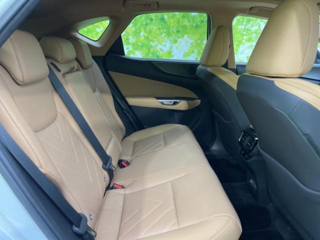 Lexus NX 2023-10 7822516-4