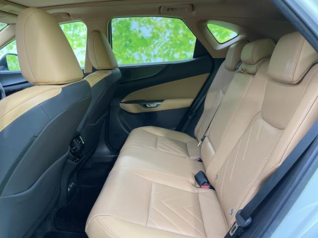 Lexus NX 2023-10 7822516-7
