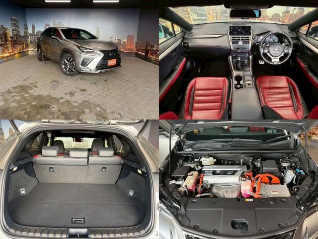 Lexus NX 2018-11 7823075-2