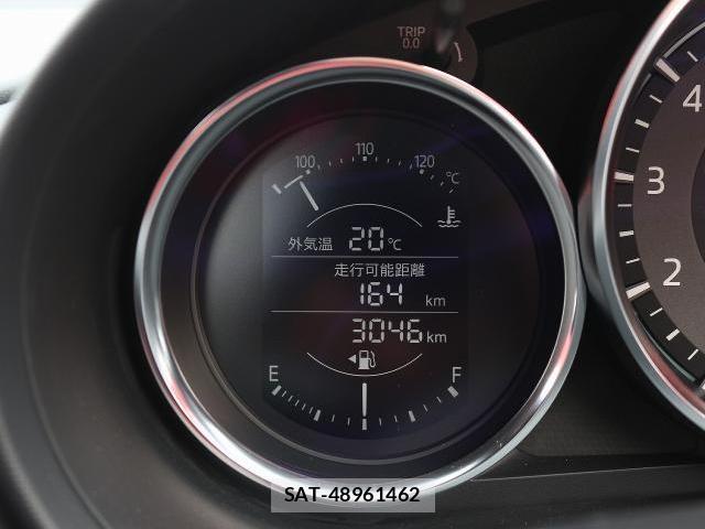 Mitsuoka Rock Star 2021-04 7812409-14