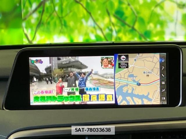 Lexus RX 2015-10 7813310-10