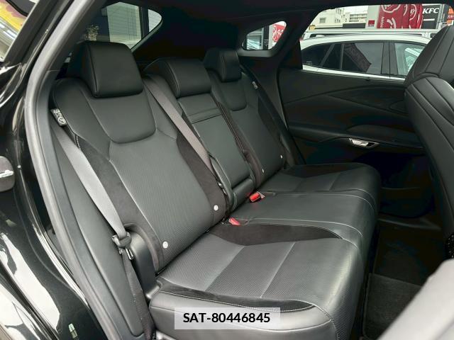 Lexus RX 2024-04 7813880-17