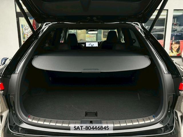Lexus RX 2024-04 7813880-18