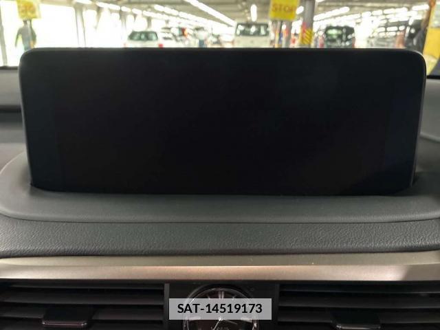 Lexus RX 2021-11 7814974-4