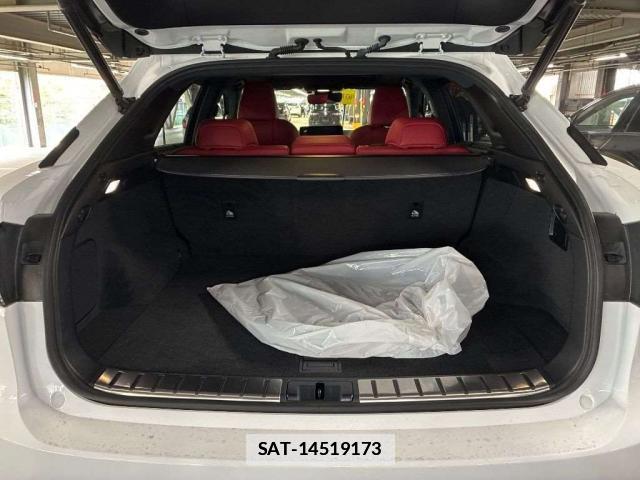 Lexus RX 2021-11 7814974-6